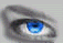 eyel.gif (3836 bytes)