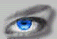 eyer.gif (3770 bytes)